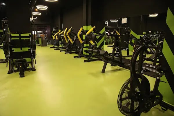 MOODFİTHOUSE - Resim 1