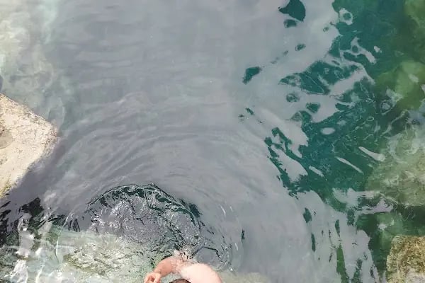 Ege Kleopatra Aquapark Yüzme Havuzları ve Kır Düğün Salonu - Resim 9