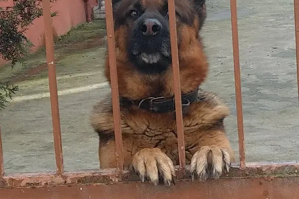 Gazi Osman Paşa Mahallesi Çocuk Parkı - Resim 1