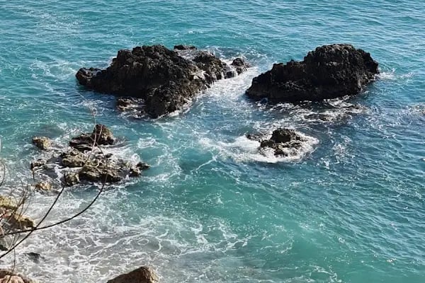 Alanya Belediyesi Park - Resim 7