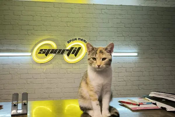 Sporfit Spor Merkezi - Resim 14