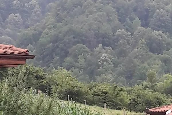 Bahçecik Beykoz Villaları A B Mahalleleri - Resim 17