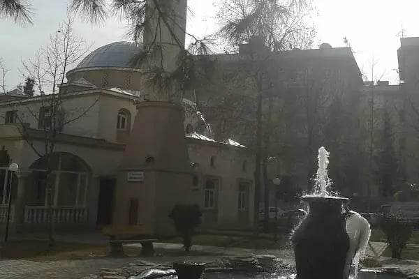Coşkun Özkaya Cami - Resim 15