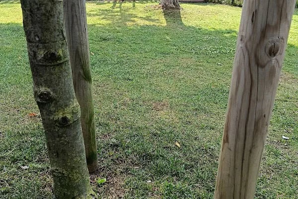 Maltepe Sosyal Güvenlik Merkezi - Resim 14
