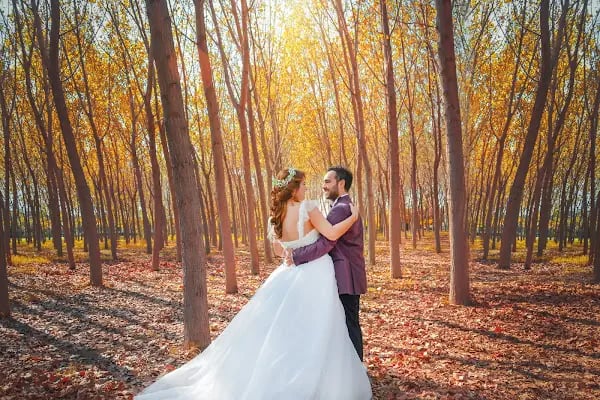 Alfa Fotoğrafçılık - Resim 12