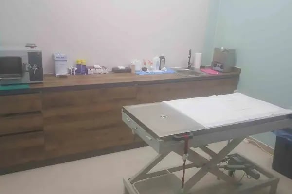 HEMVET VETERİNER MUAYENEHANESI - Resim 5