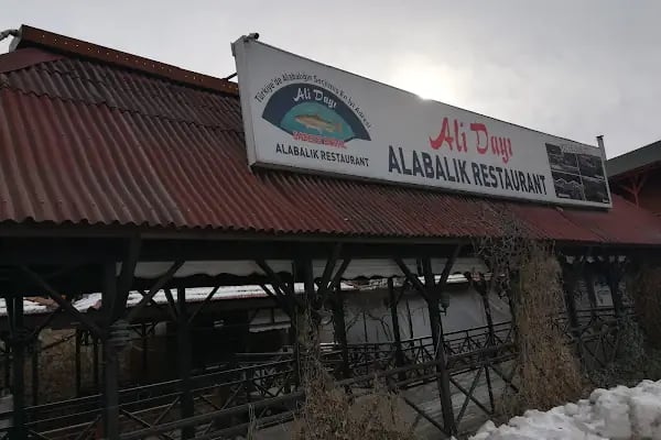 Ali Dayının Yeri - Resim 16