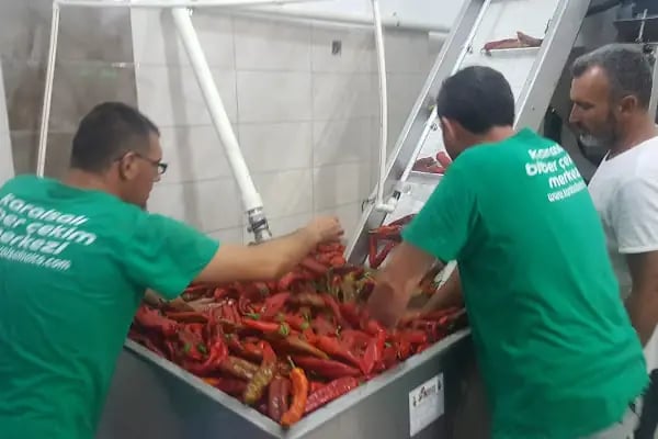 Karaisalı Biber Çekim Merkezi - Resim 6