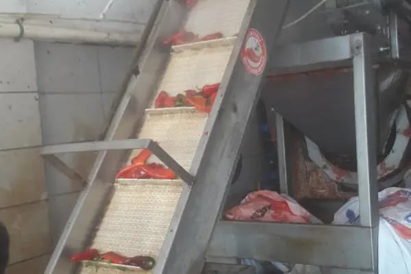 Karaisalı Biber Çekim Merkezi - Resim 12