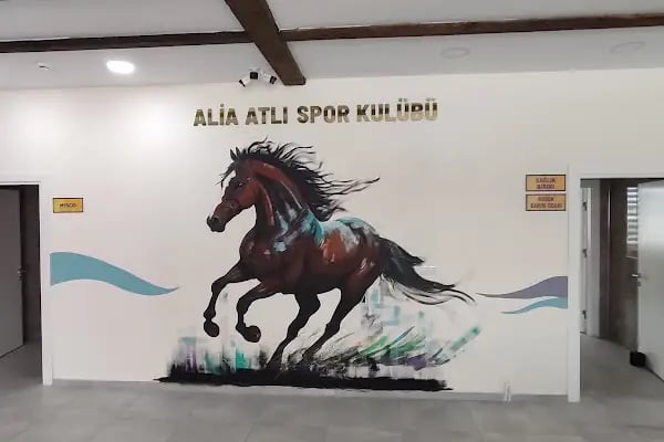 Alia Park - Resim 18