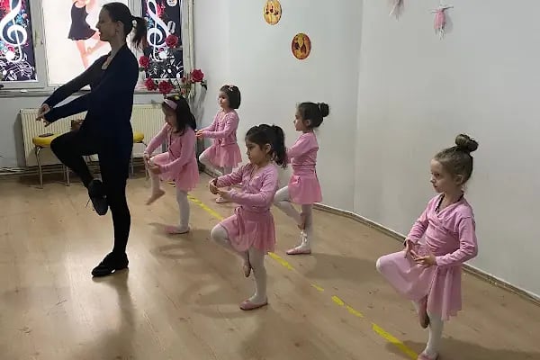 Sanat Akademi - Resim 6