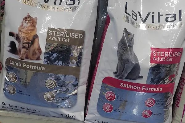 Burkan Pet Shop - Resim 3