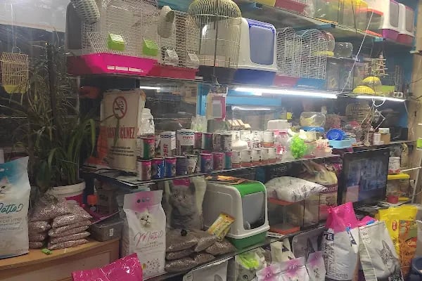 Burkan Pet Shop - Resim 6