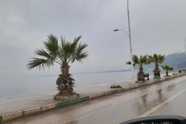 Büyük Çamlık Sitesi - Resim 18
