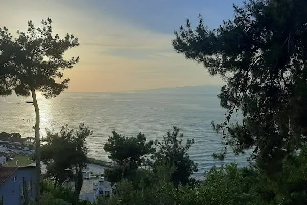 Büyük Çamlık Sitesi - Resim 4
