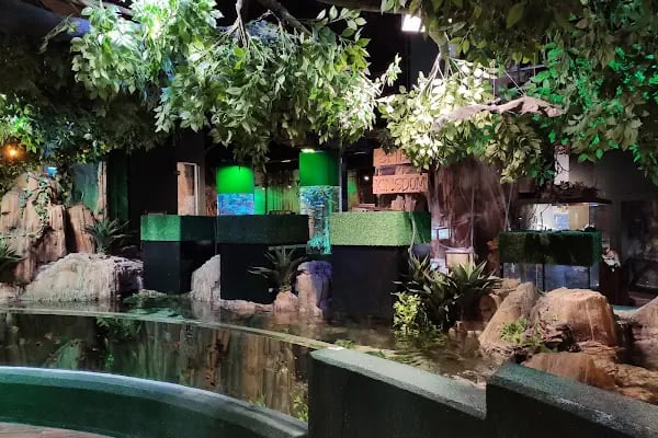 Emaar Square Aquarium World - Akvaryum - Resim 15