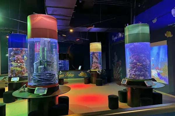Emaar Square Aquarium World - Akvaryum - Resim 9