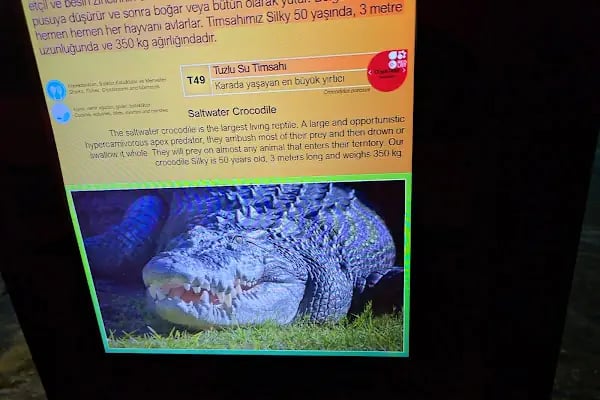 Emaar Square Aquarium World - Akvaryum - Resim 20
