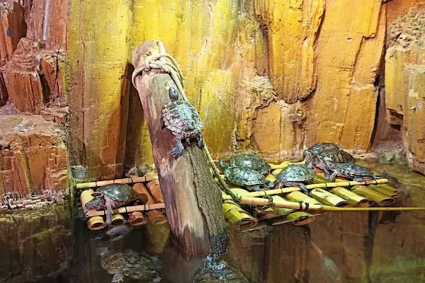 Emaar Square Aquarium World - Akvaryum - Resim 14
