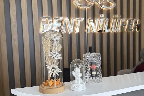 Dent Nilüfer Ağız ve Diş Sağlığı Merkezi - Resim 1