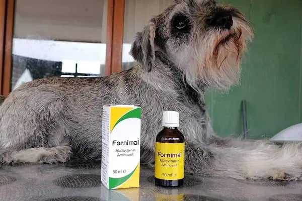 Yeni Başkent İlaç Ve Hayvancılık Veteriner kliniği - Resim 5