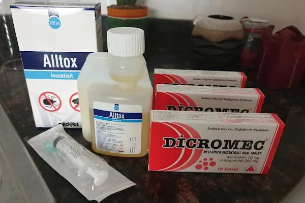 Yeni Başkent İlaç Ve Hayvancılık Veteriner kliniği - Resim 4