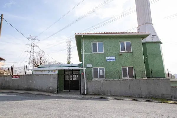 Darende Camii - Resim 2