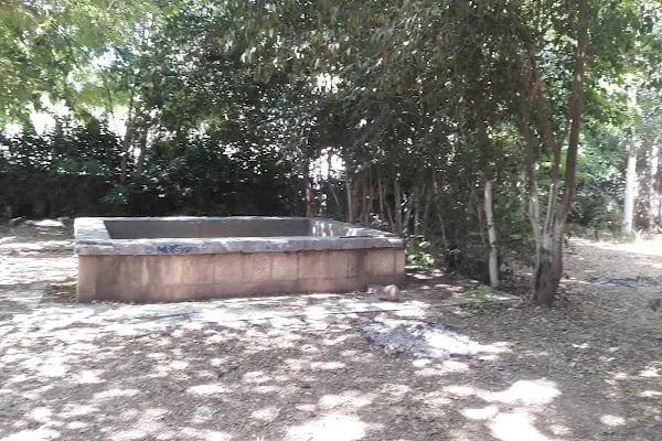 Bozova Gençlik Parkı - Resim 7