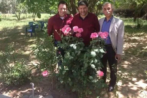 Bozova Gençlik Parkı - Resim 10