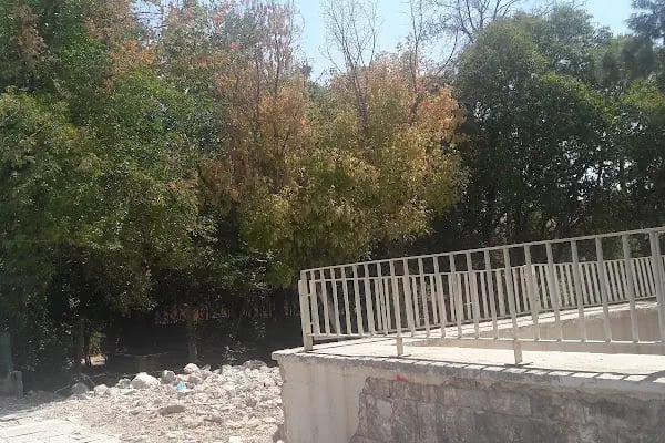 Bozova Gençlik Parkı - Resim 6
