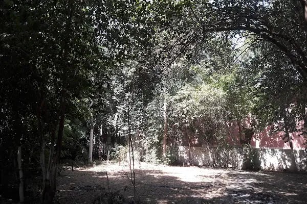 Bozova Gençlik Parkı - Resim 3