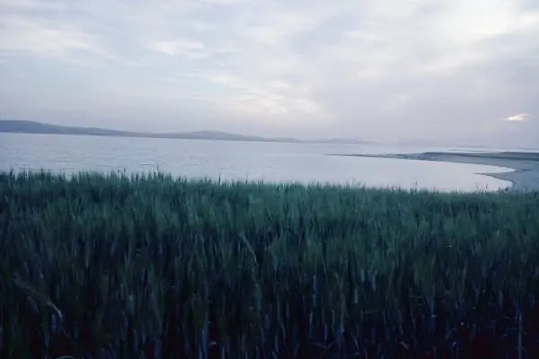 Bozova Gençlik Parkı - Resim 11