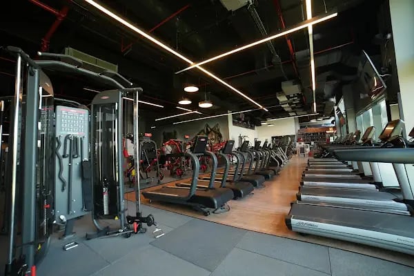 Navitas Spa Merkezi ve Spor Salonu, 5. Levent - Resim 2
