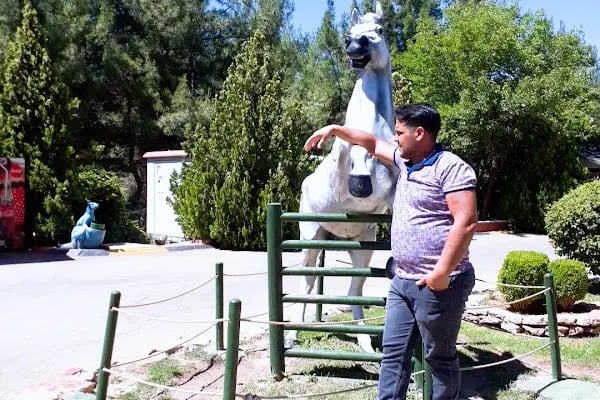 Akçakale Belediyesi Şht. Jandarma Astsubay Çavuş Halil Kanat Parkı - Resim 5