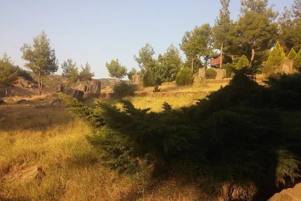 Yesemek Köyü Muhtarlığı - Resim 9