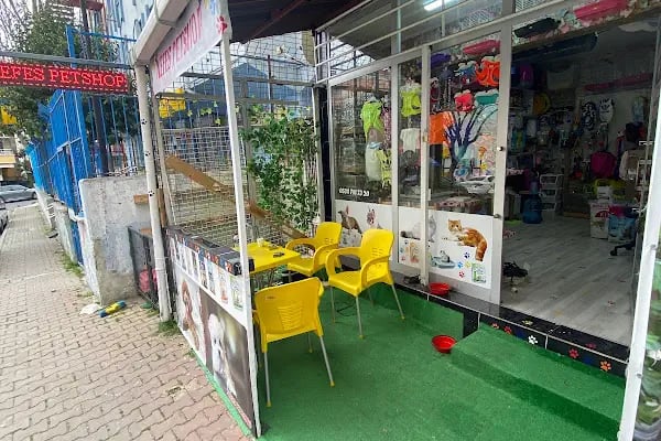 Nefes petshop - Resim 11