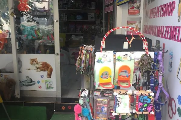 Nefes petshop - Resim 6