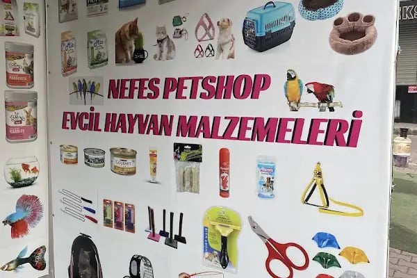 Nefes petshop - Resim 5