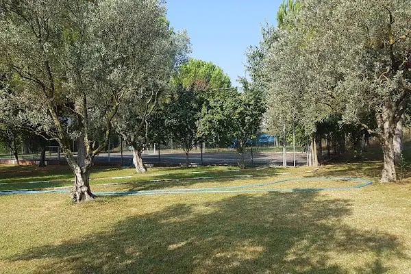 Otantik Club Hotel & Spa - Resim 5