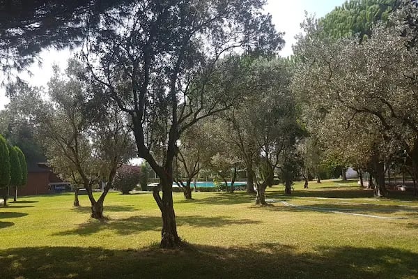 Otantik Club Hotel & Spa - Resim 11