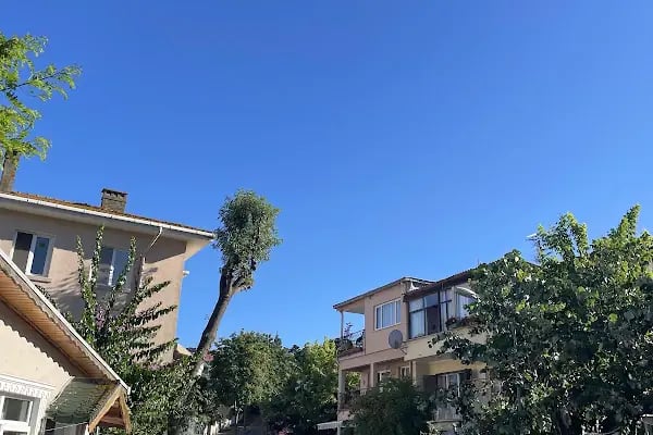 Teos Kınalıada Beach & Restaurant - Resim 3