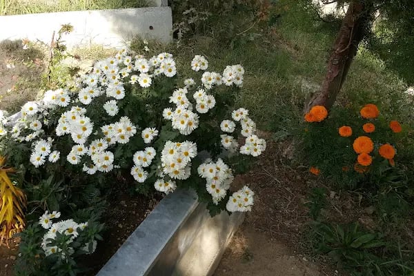 Harmancık Mezarlığı - Resim 3