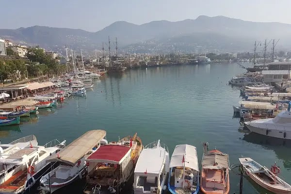 Alidaş Alanya Liman İşletmesi - Resim 4