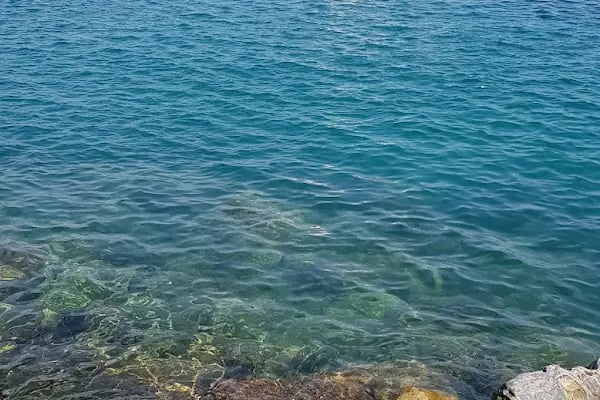 Alidaş Alanya Liman İşletmesi - Resim 10
