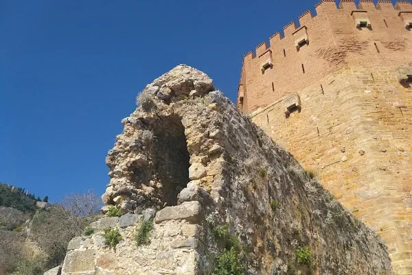 Alidaş Alanya Liman İşletmesi - Resim 3