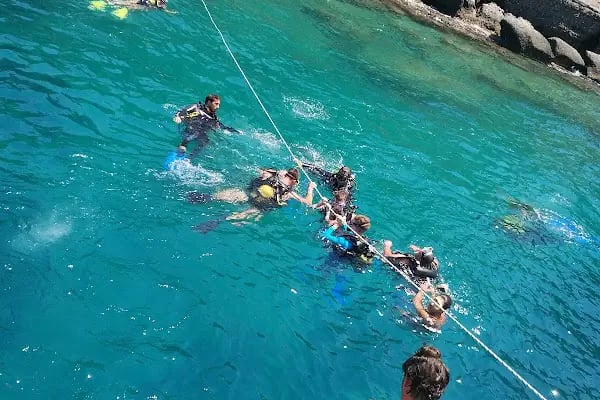 Alidaş Alanya Liman İşletmesi - Resim 18