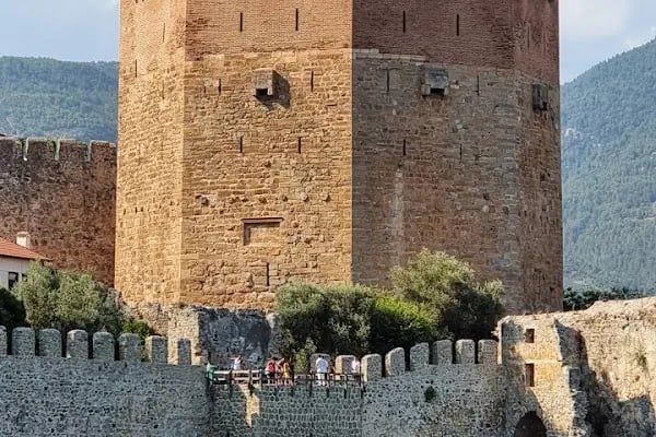 Alidaş Alanya Liman İşletmesi - Resim 2