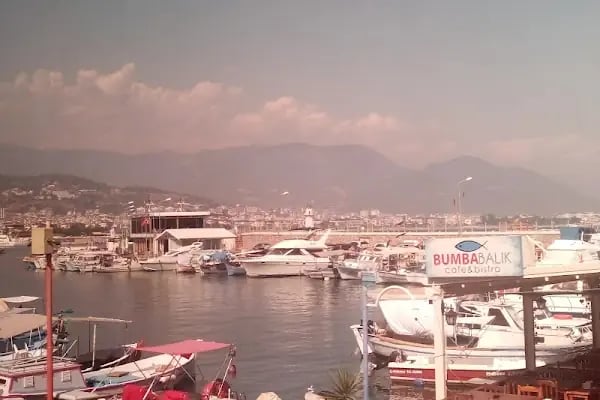Alidaş Alanya Liman İşletmesi - Resim 9
