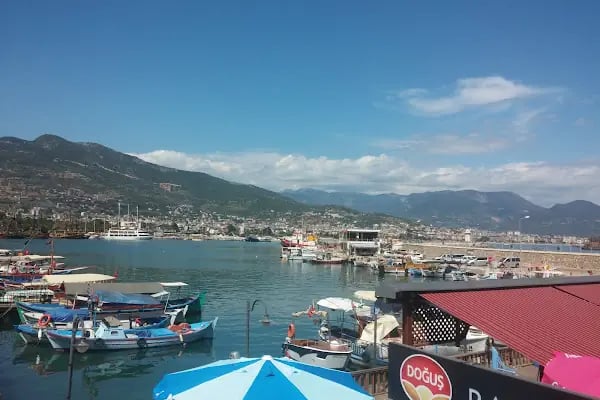 Alidaş Alanya Liman İşletmesi - Resim 1