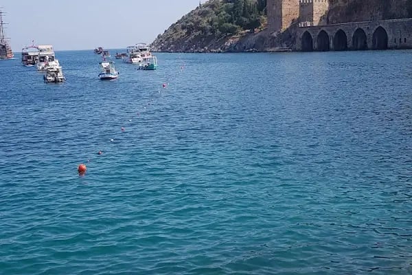 Alidaş Alanya Liman İşletmesi - Resim 13